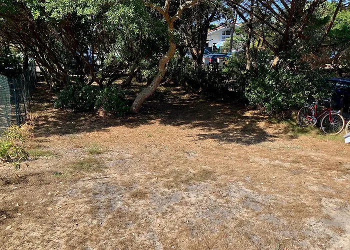 T3 Les Anemones A 50m De La Plage Avec Grande Terrasse Et Grand Jardin *