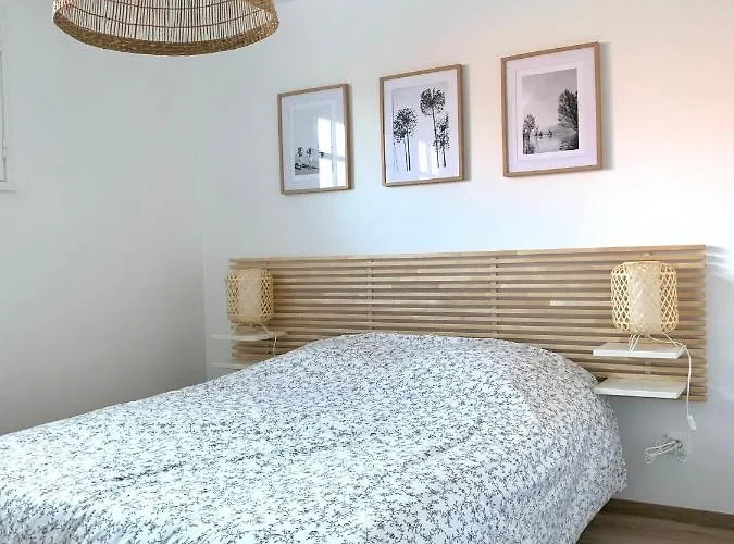 度假居 T3 Les Anemones A 50m De La Plage Avec Grande Terrasse Et Grand Jardin 索尔特奥瑟戈尔